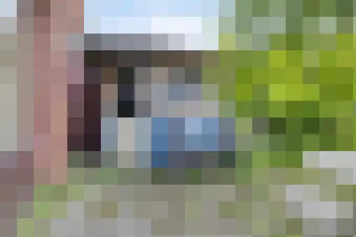 Driedistel 11 Rotterdam thumbnail 25