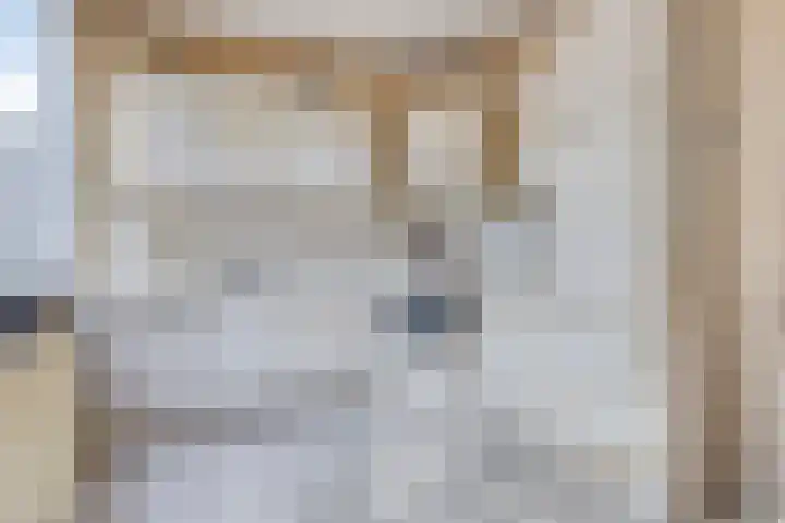 Driedistel 11 Rotterdam thumbnail 4