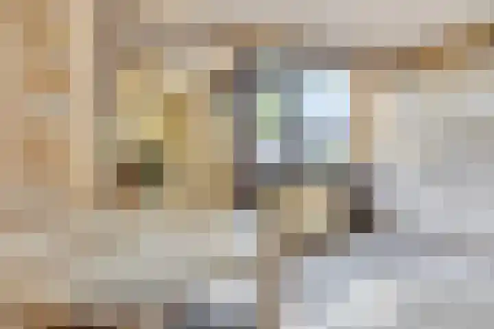 Driedistel 11 Rotterdam thumbnail 5