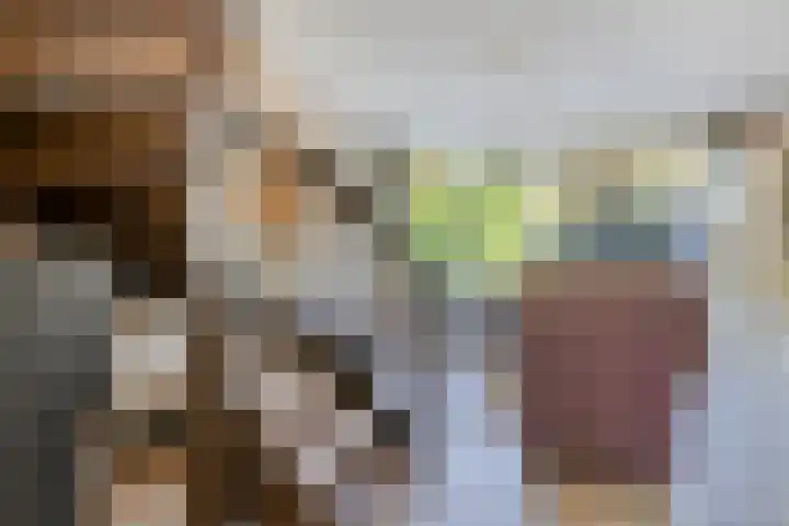 Driedistel 11 Rotterdam thumbnail 7