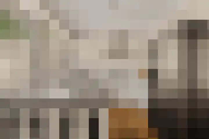 Driedistel 9 Rotterdam thumbnail 11