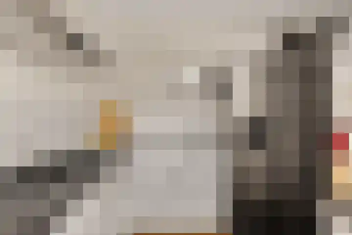 Driedistel 9 Rotterdam thumbnail 12