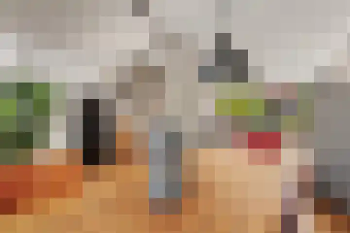 Driedistel 9 Rotterdam thumbnail 14