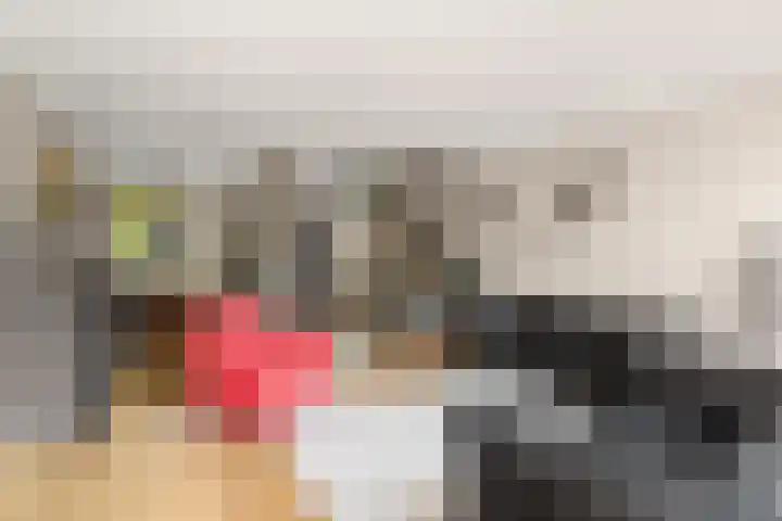 Driedistel 9 Rotterdam thumbnail 15