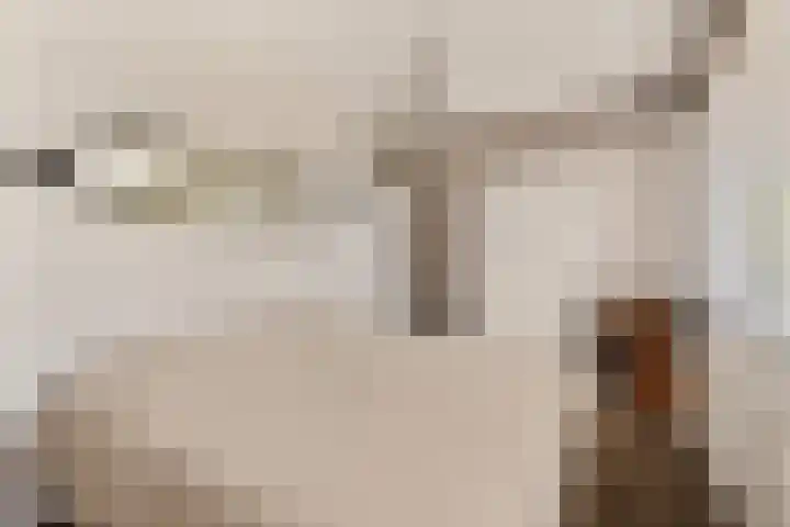 Driedistel 9 Rotterdam thumbnail 20