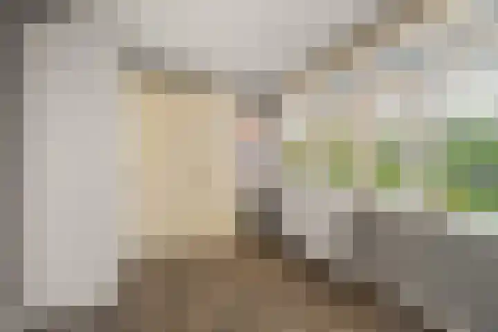 Driedistel 9 Rotterdam thumbnail 24