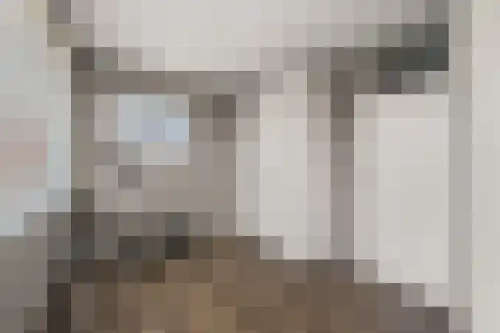 Driedistel 9 Rotterdam thumbnail 25
