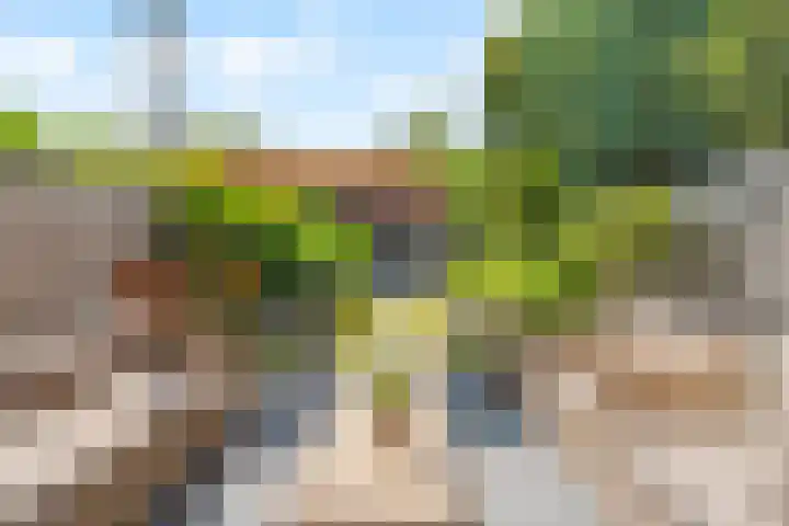 Driedistel 9 Rotterdam thumbnail 26