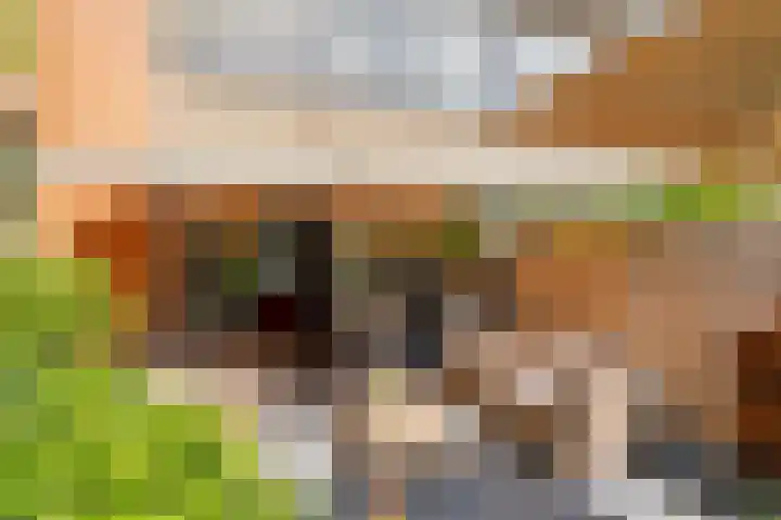 Driedistel 9 Rotterdam thumbnail 28
