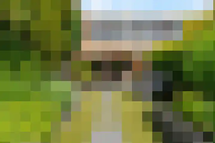 Driedistel 9 Rotterdam thumbnail 30