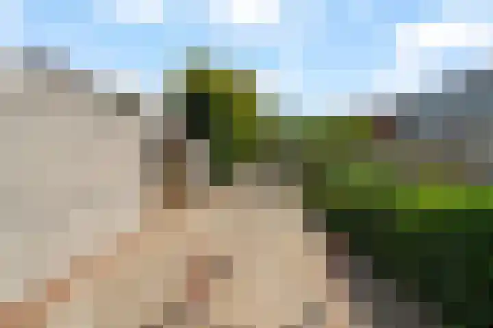 Driedistel 9 Rotterdam thumbnail 31