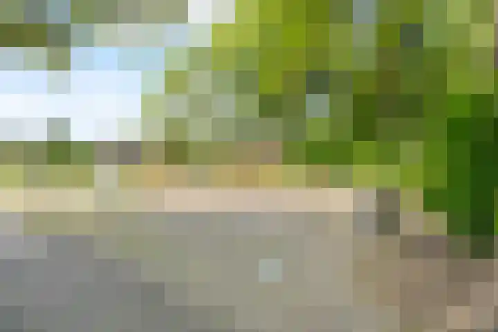 Driedistel 9 Rotterdam thumbnail 32