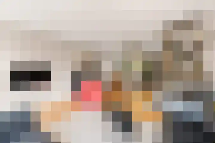 Driedistel 9 Rotterdam thumbnail 7