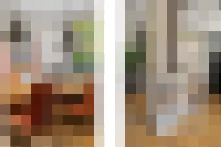 Driedistel 9 Rotterdam thumbnail 8