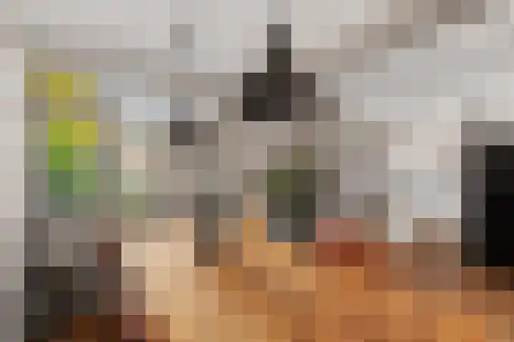 Driedistel 9 Rotterdam thumbnail 9
