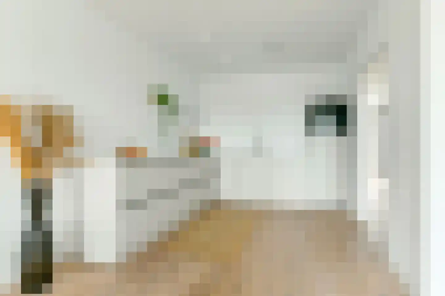 Driedistelstraat 33 Amsterdam thumbnail 11