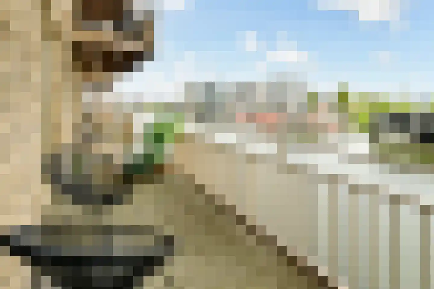 Driedistelstraat 33 Amsterdam thumbnail 4