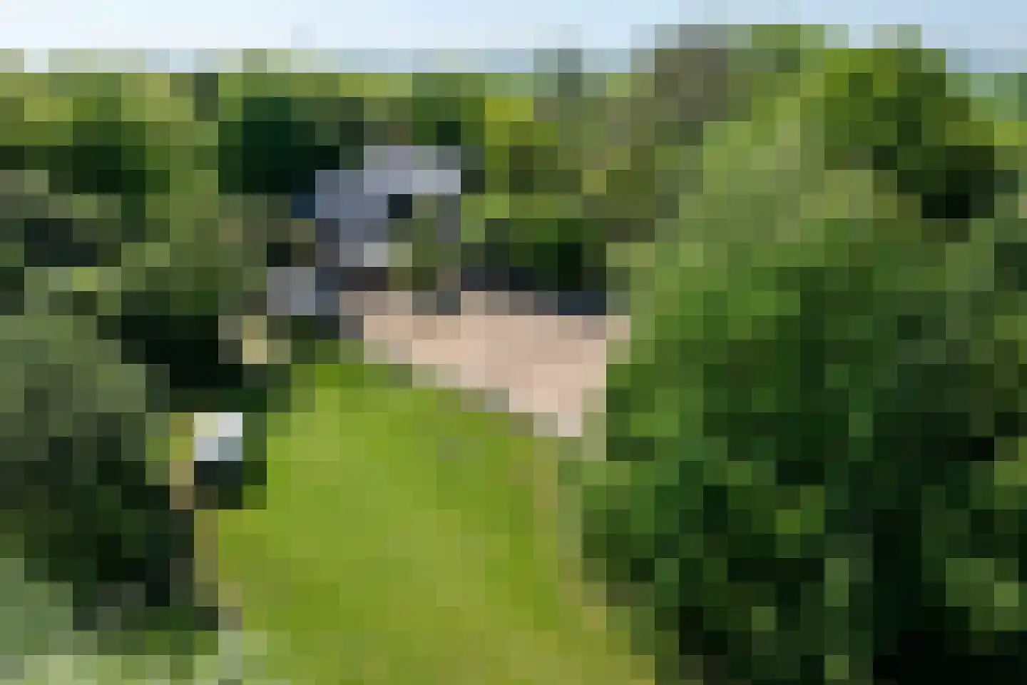 Drieëndijk 3 Heenvliet thumbnail 11