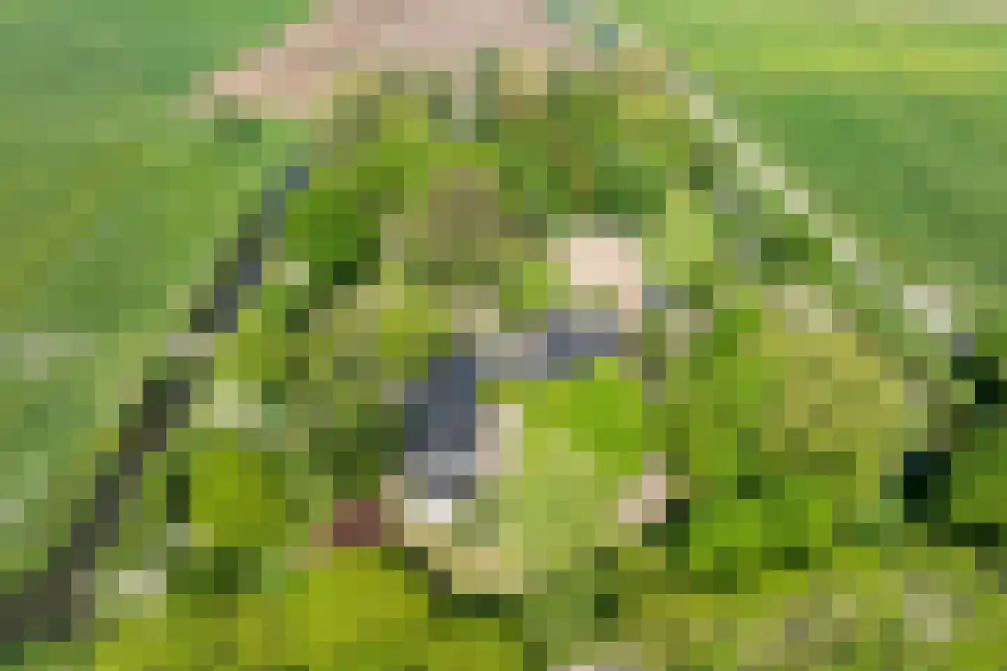 Drieëndijk 3 Heenvliet thumbnail 19