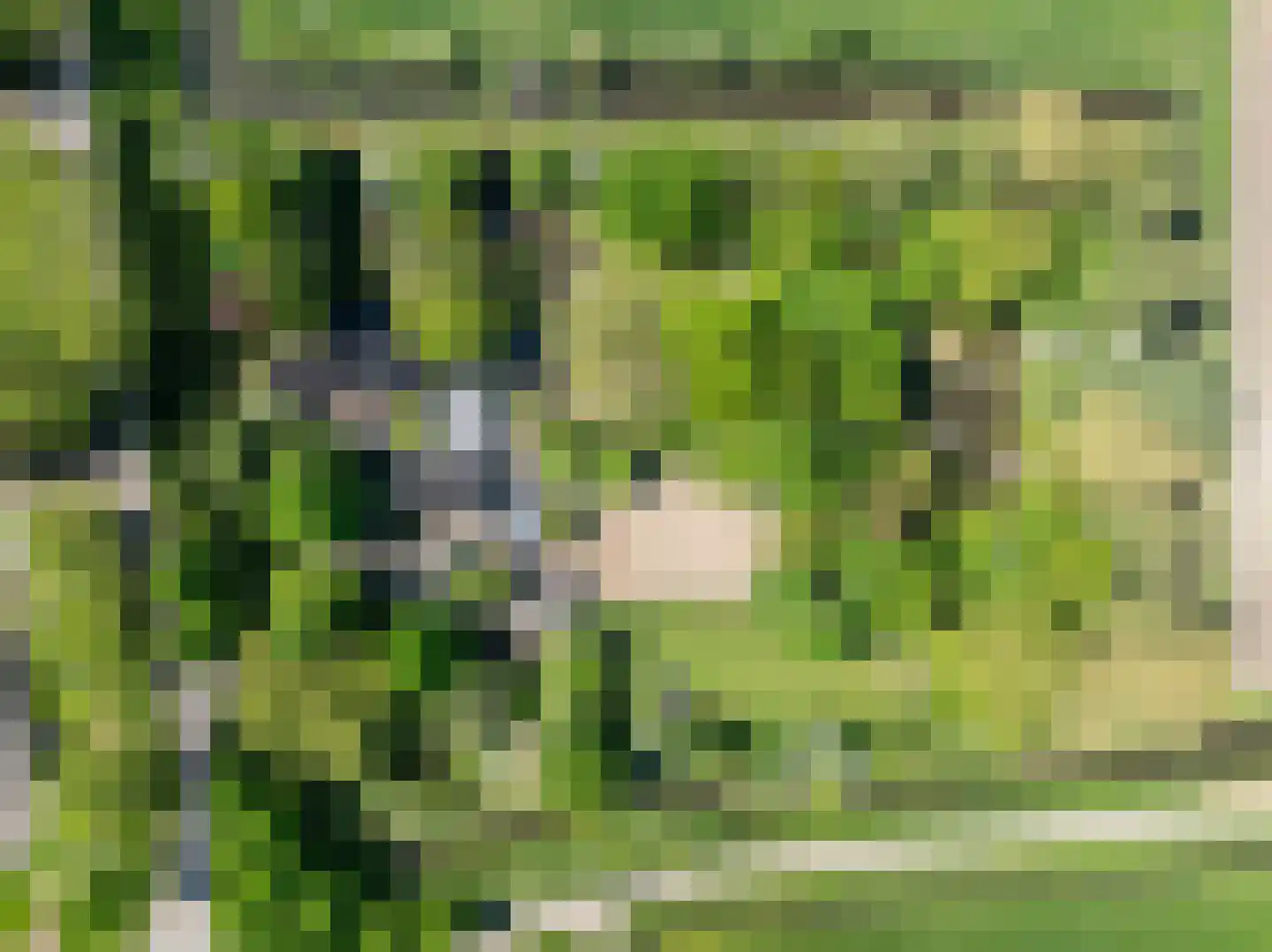 Drieëndijk 3 Heenvliet thumbnail 20