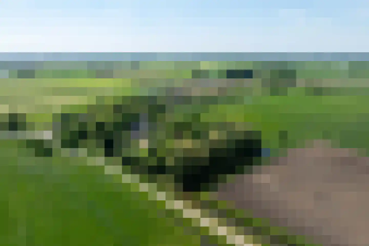 Drieëndijk 3 Heenvliet thumbnail 21