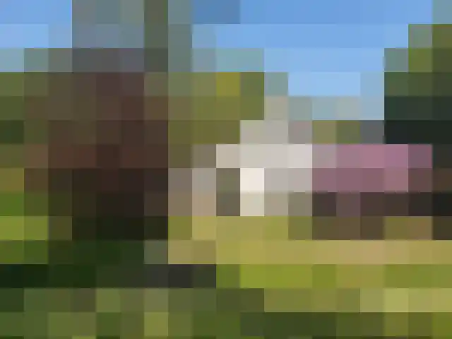 Drieëndijk 3 Heenvliet foto 3