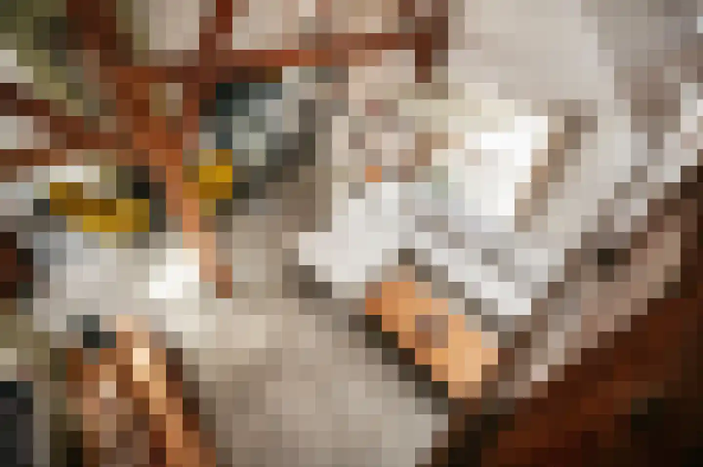 Drieëndijk 3 Heenvliet thumbnail 4