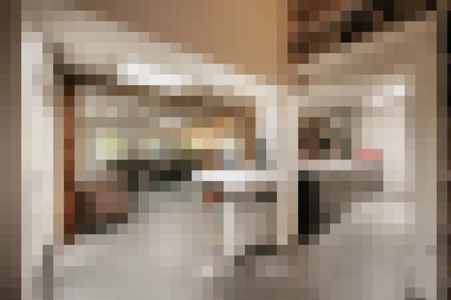 Drieëndijk 3 Heenvliet thumbnail 8