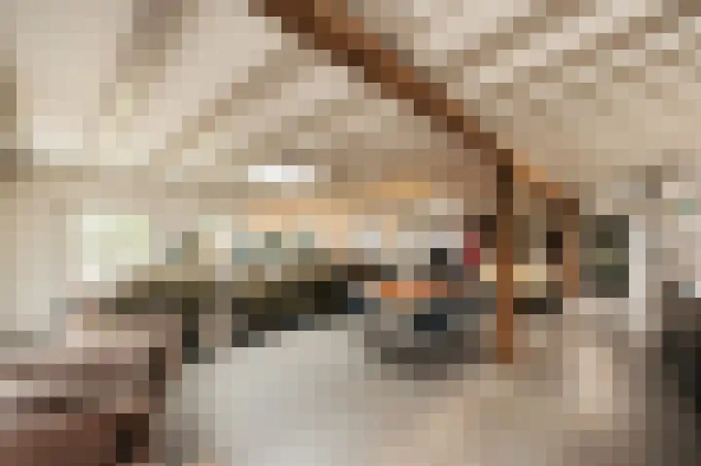 Drieëndijk 3 Heenvliet thumbnail 9