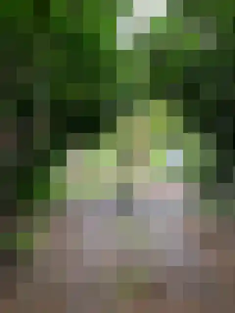 Drieërweg 124 95 Ermelo thumbnail 6