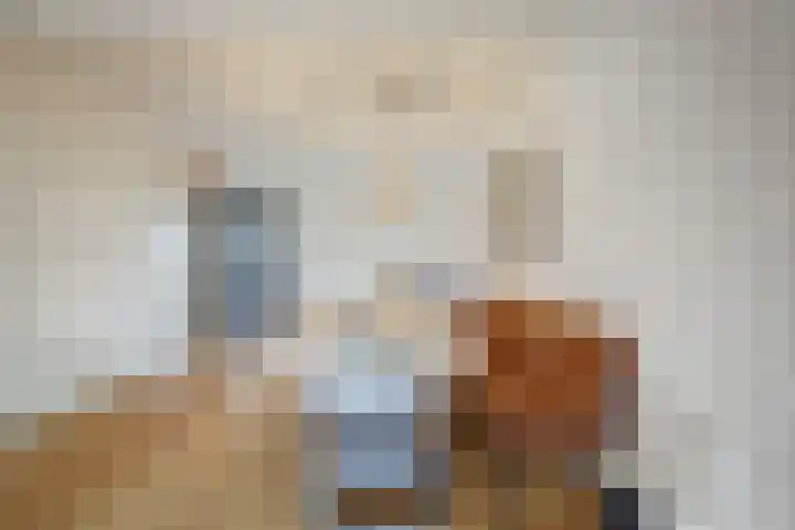 Driegaardsestraat 12 Huissen thumbnail 7