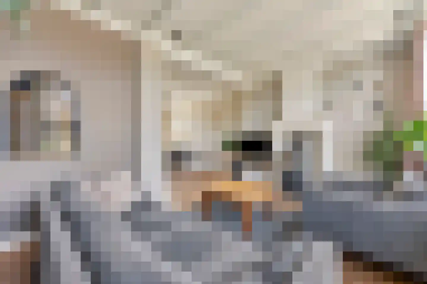 Driegaardsestraat 18 Huissen thumbnail 10