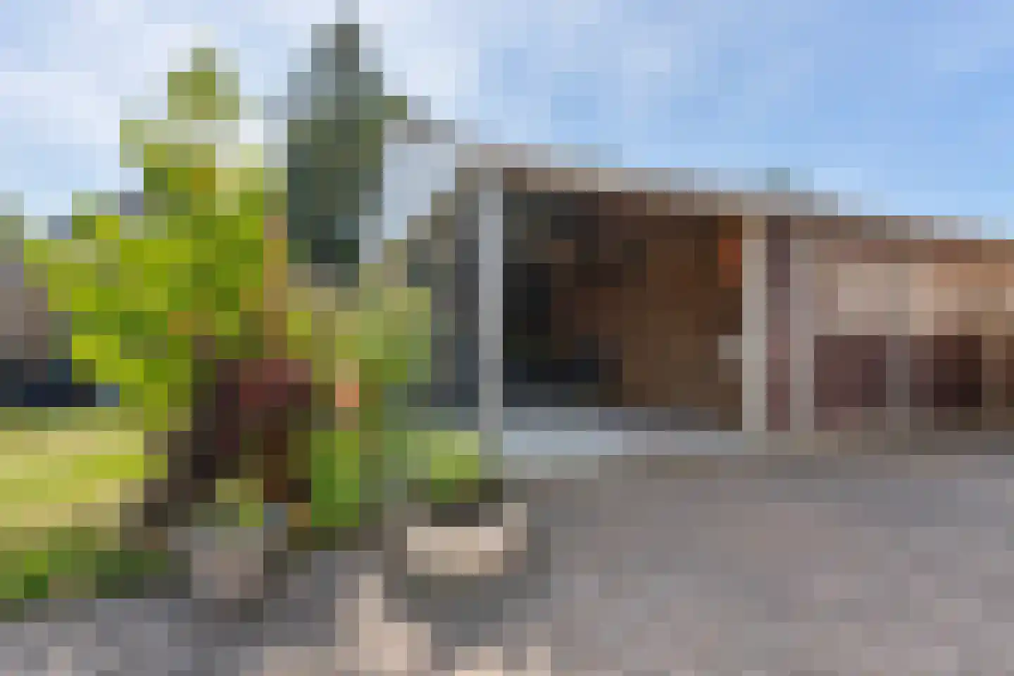 Driegaardsestraat 18 Huissen thumbnail 20