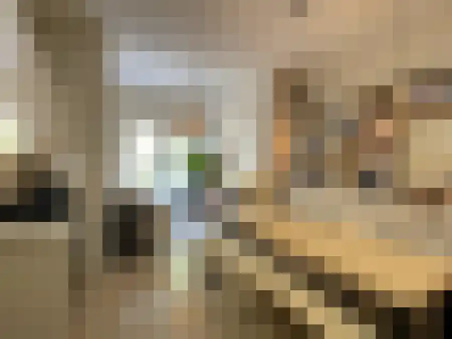 Drieharingstraat 25 Utrecht thumbnail 6