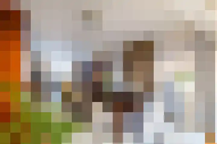 Driehoefijzersstraat 17 Breda thumbnail 17