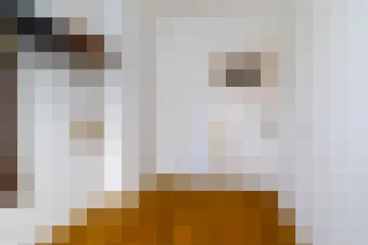 Driehoefijzersstraat 17 Breda thumbnail 33