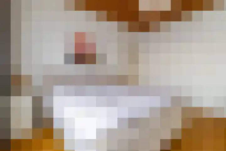 Driehoefijzersstraat 17 Breda thumbnail 35
