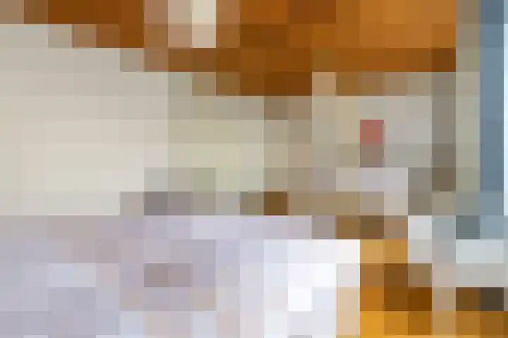 Driehoefijzersstraat 17 Breda thumbnail 36