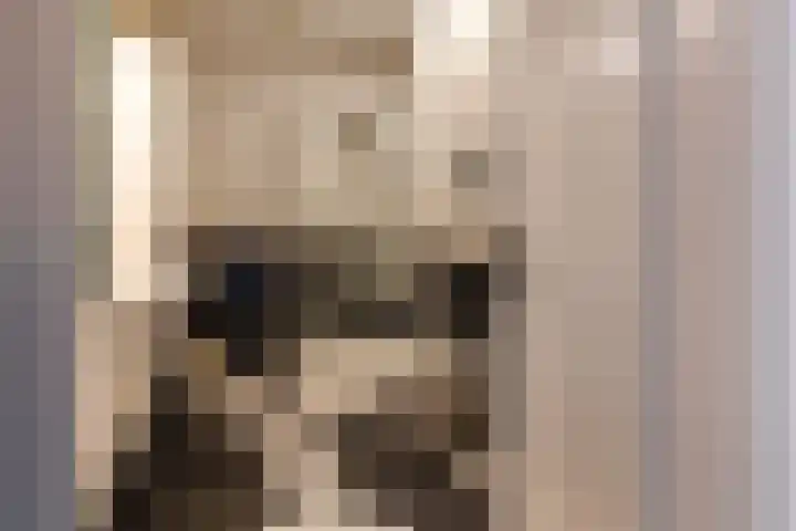 Driehoefijzersstraat 17 Breda thumbnail 37