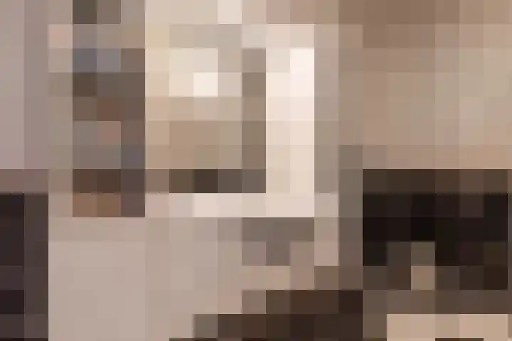 Driehoefijzersstraat 17 Breda thumbnail 38