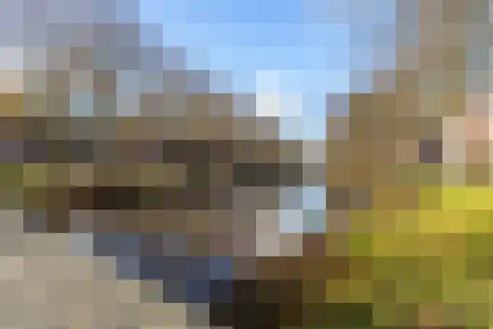 Driehoefijzersstraat 17 Breda thumbnail 47