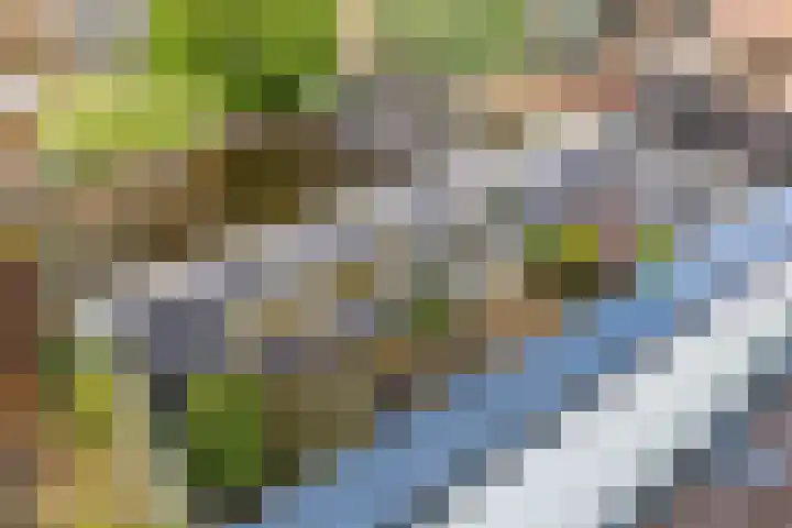 Driehoefijzersstraat 17 Breda thumbnail 5