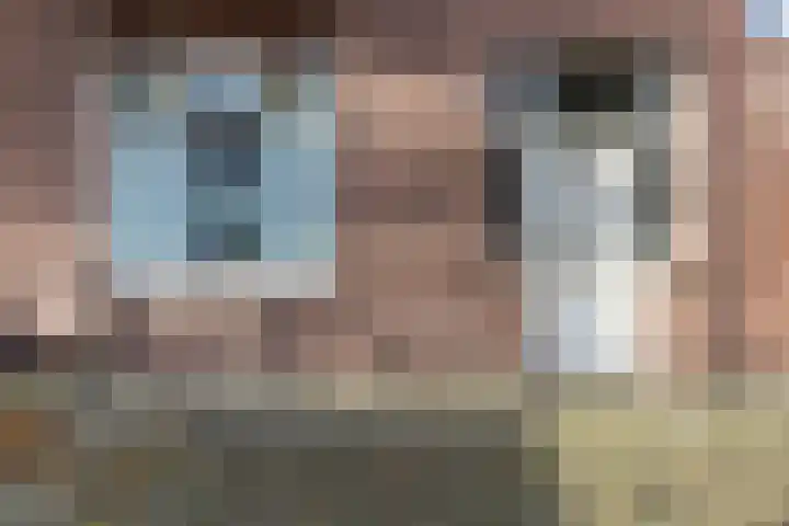 Driehoefijzersstraat 17 Breda thumbnail 8