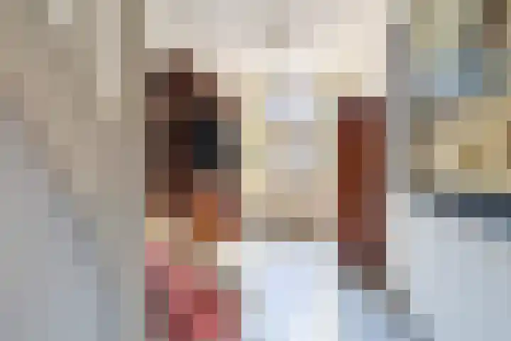 Driehoefijzersstraat 17 Breda thumbnail 9
