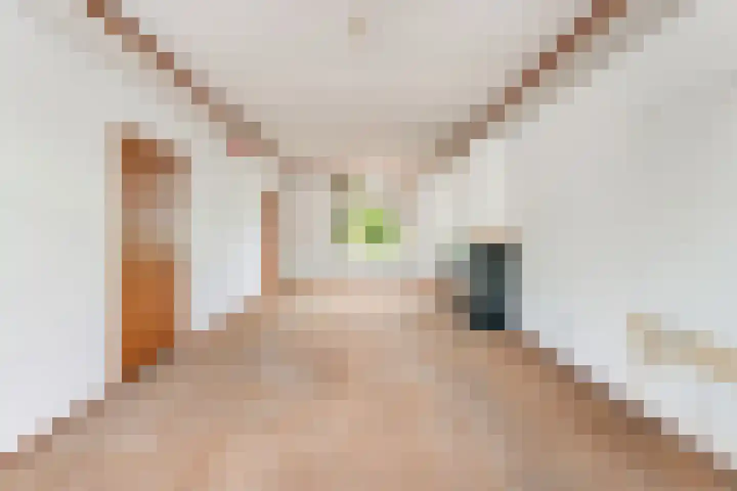 Driehoefijzersstraat 29 Zevenbergschen Hoek thumbnail 12