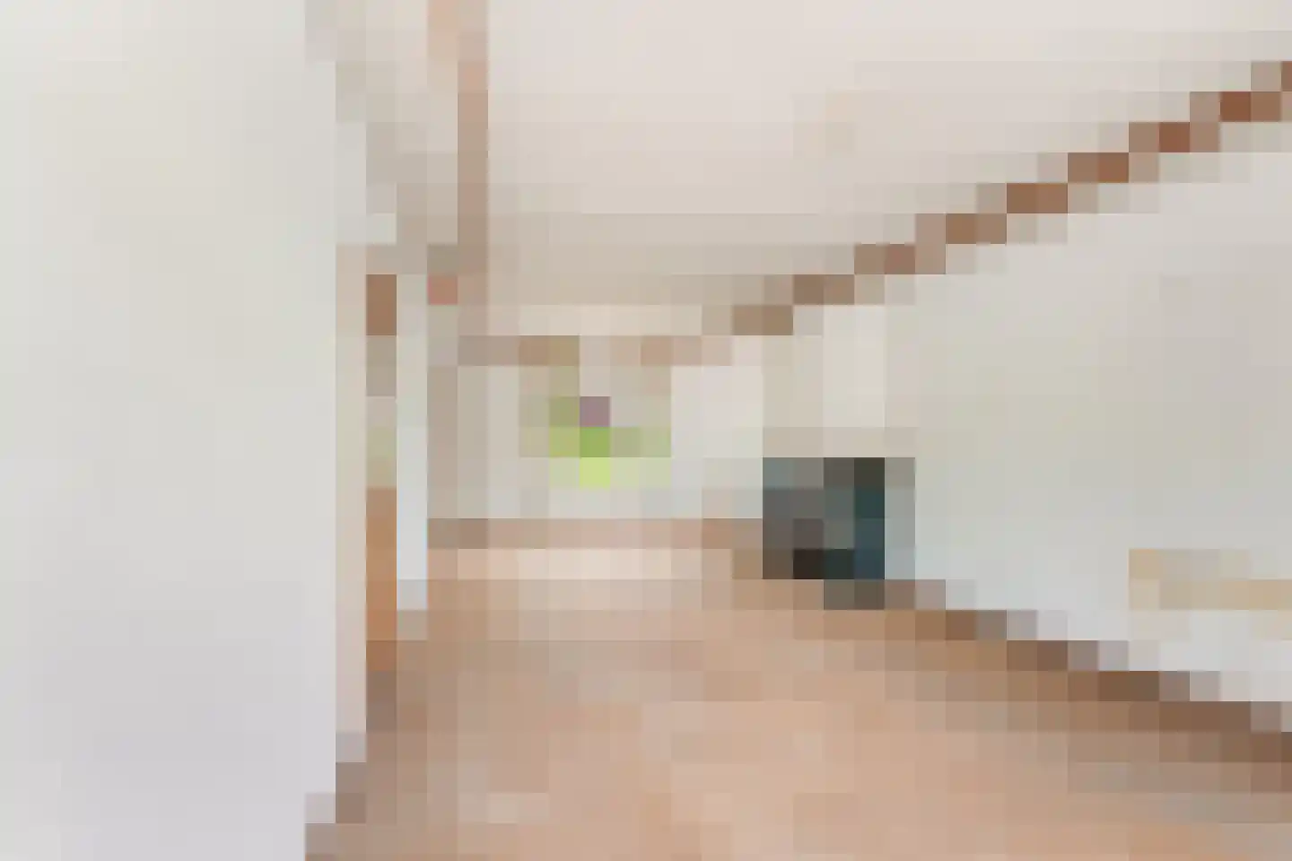 Driehoefijzersstraat 29 Zevenbergschen Hoek thumbnail 13