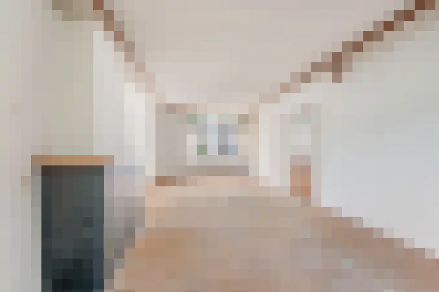 Driehoefijzersstraat 29 Zevenbergschen Hoek thumbnail 15