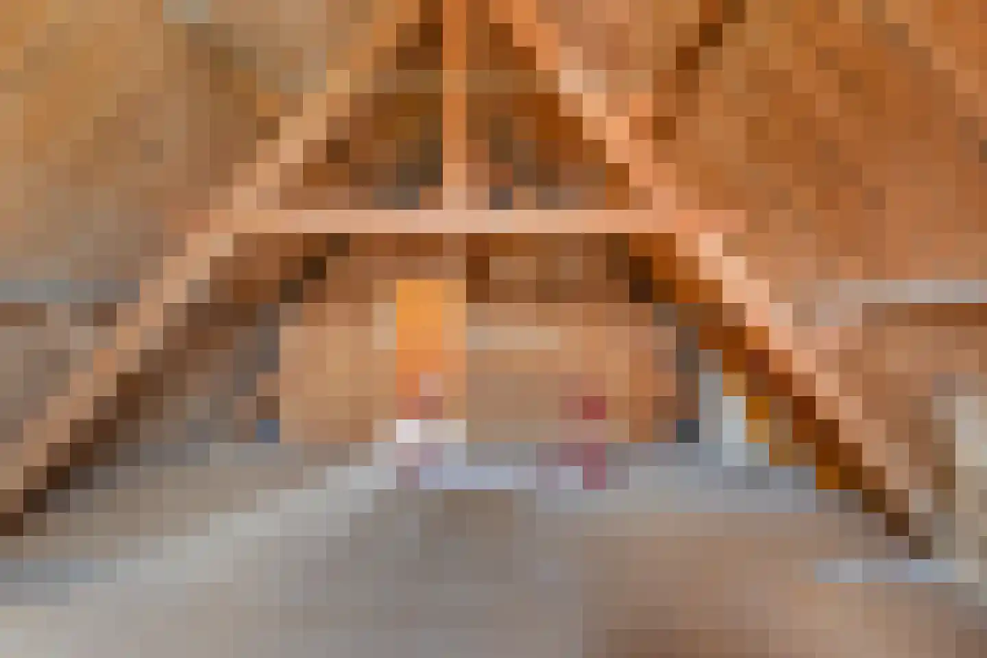 Driehoefijzersstraat 29 Zevenbergschen Hoek thumbnail 34