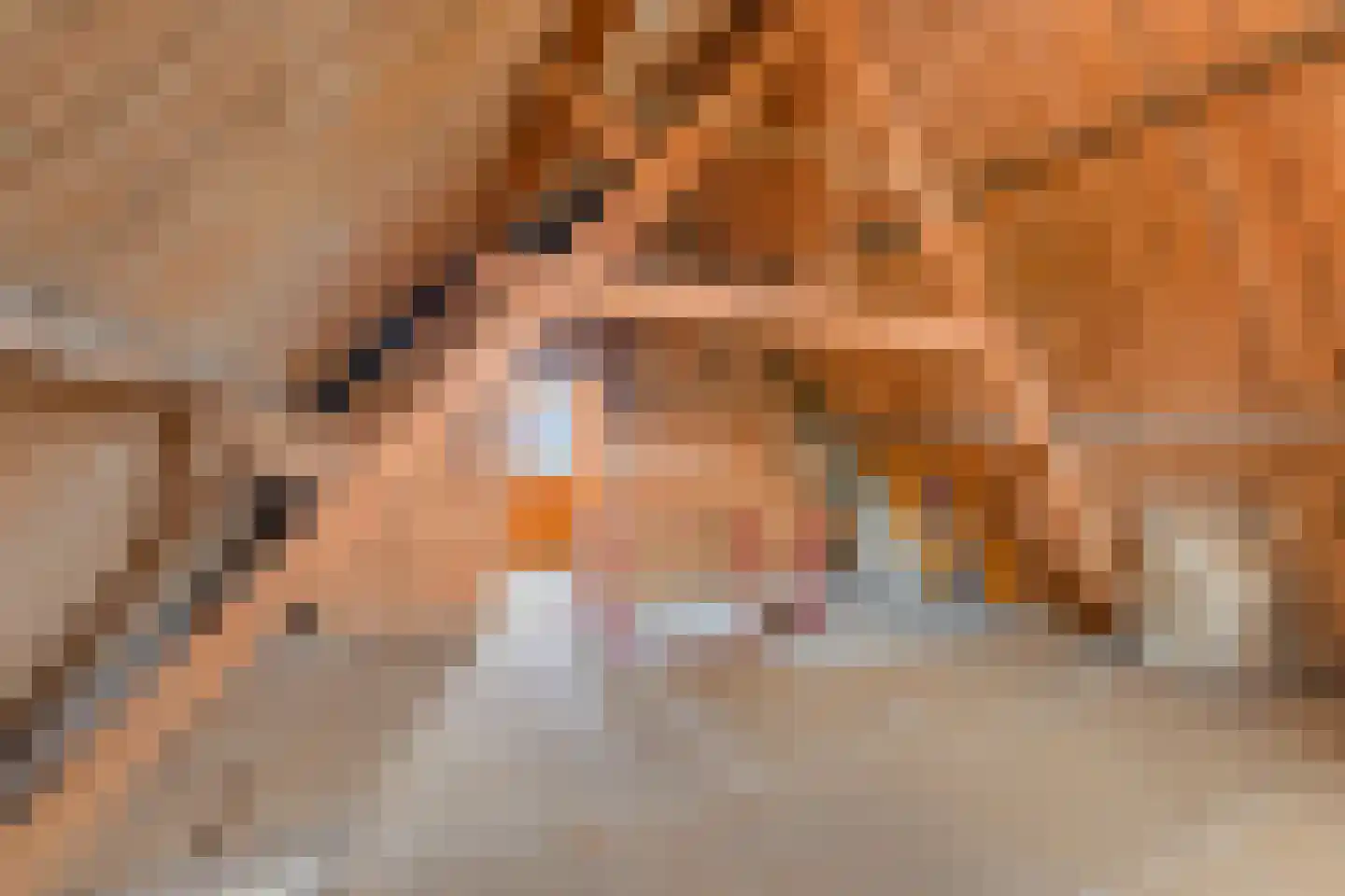 Driehoefijzersstraat 29 Zevenbergschen Hoek thumbnail 36