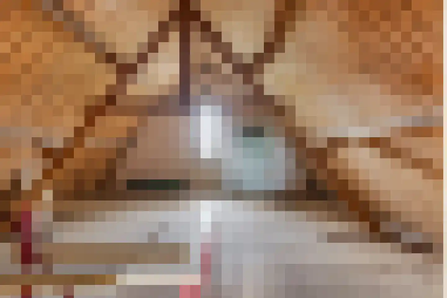Driehoefijzersstraat 29 Zevenbergschen Hoek thumbnail 37